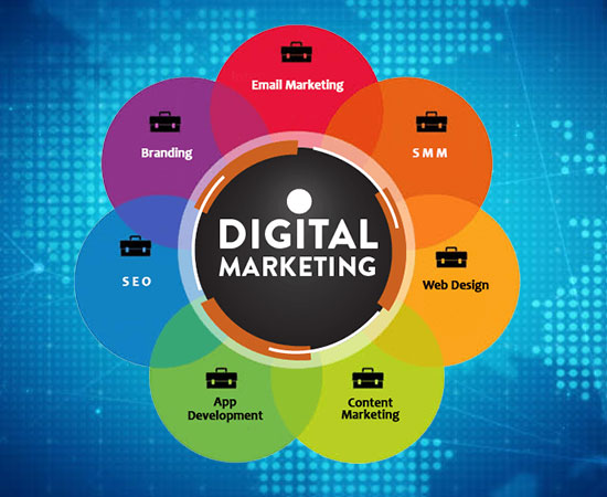 SEO and Digital Marketing Courses